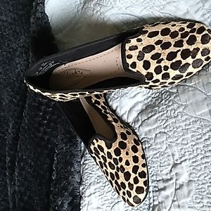 Clarke Leopard Print Shoes
